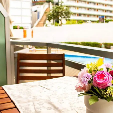 Elefantes Daire Playa del Ingles (Gran Canaria)