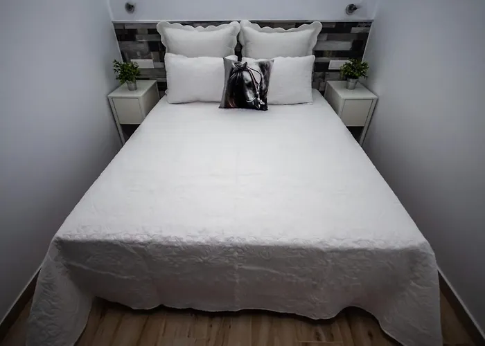 Elefantes * بلايا ديل إنغلز